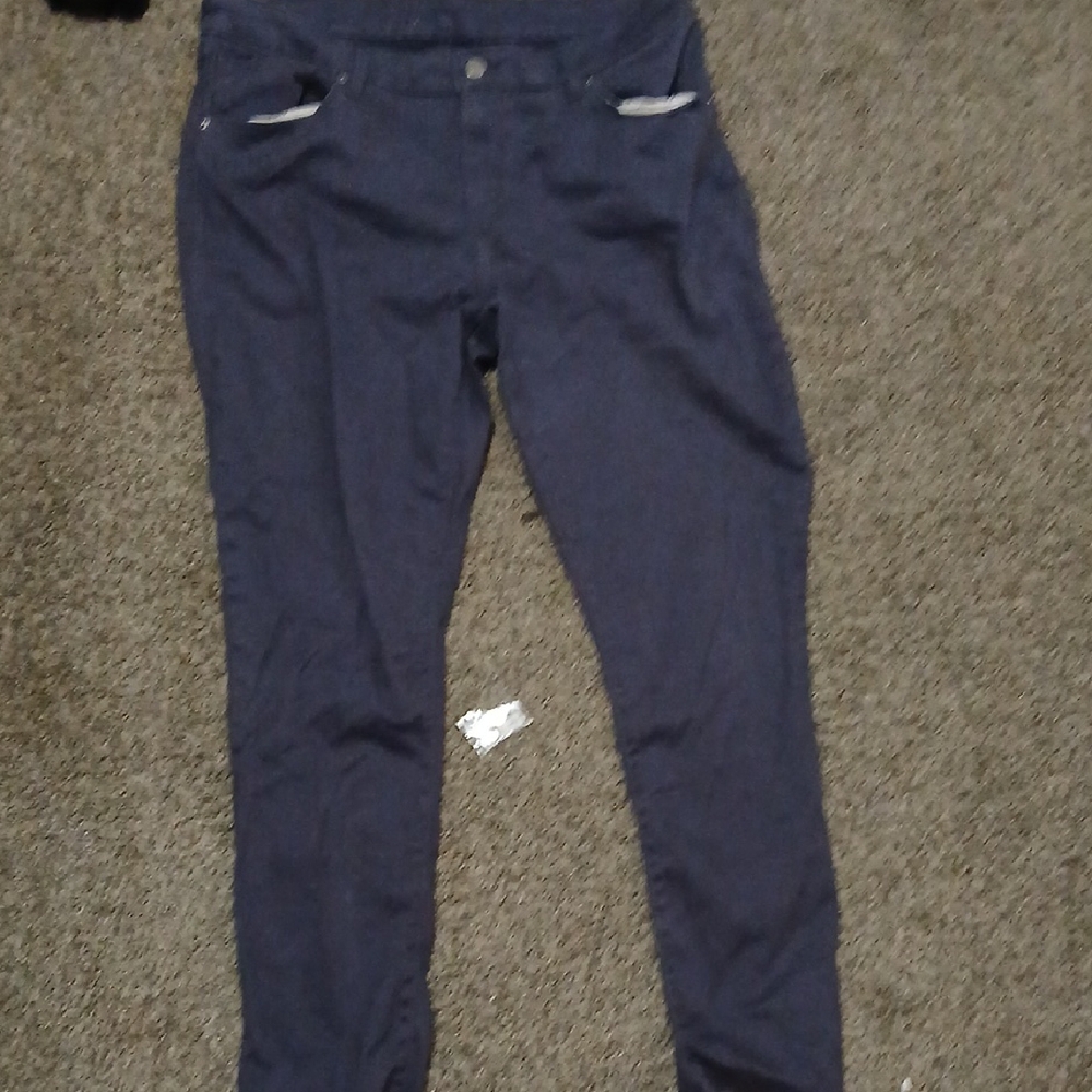 Grey Levi Kakis Womens Size 32